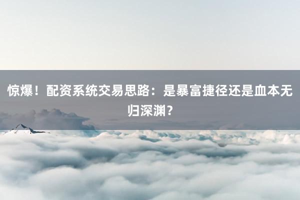惊爆！配资系统交易思路：是暴富捷径还是血本无归深渊？