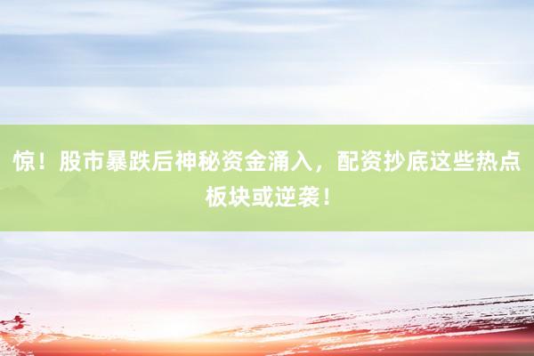 惊！股市暴跌后神秘资金涌入，配资抄底这些热点板块或逆袭！