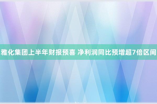 雅化集团上半年财报预喜 净利润同比预增超7倍区间